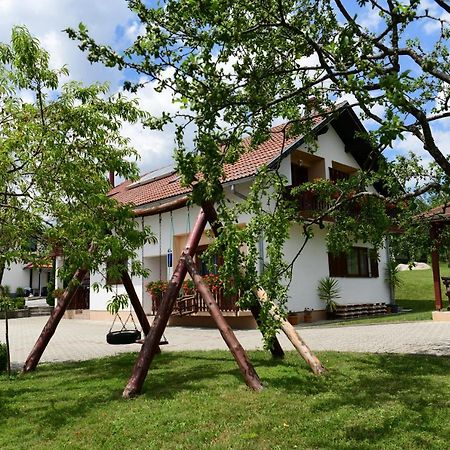 Guesthouse Ante Hodak Selište Drežničko Kültér fotó