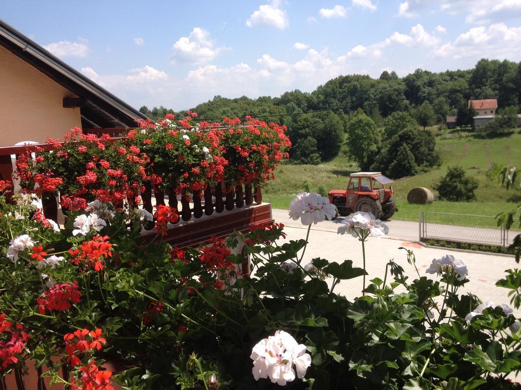 Guesthouse Ante Hodak Selište Drežničko Szoba fotó