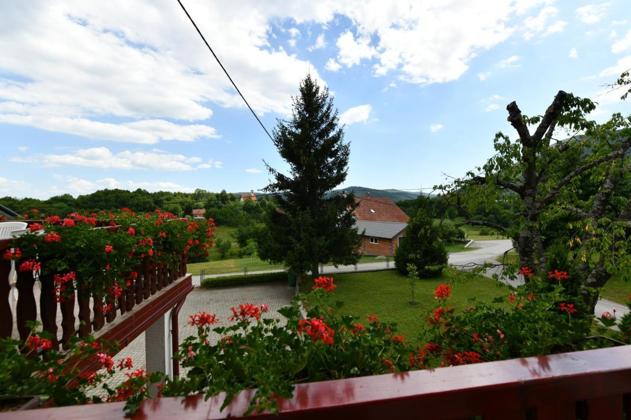 Guesthouse Ante Hodak Selište Drežničko Kültér fotó